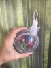 Birds LOVE 3" Hanging Clear Foraging Plastic Perforated Ball to Unscrew with Vine Balls Inside for Bird Cage Medium and Large Bird Toy