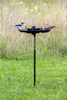 Squirrel Buster Plus Squirrel-Proof Bird Feeder (Pole Adaptor Sold Separately), Green & Brome Buster Tray Feeder and Seed Catcher, 11 x 4 x 21 inches, Black