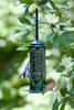 Squirrel Buster Mini Squirrel-proof Bird Feeder w/4 Metal Perches, 0.98-pound Seed Capacity