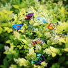 VIMOA Decorative Garden Butterfly Stakes 30pcs Butterfly Stakes Waterproof Butterfly Decor Garden for Flower Beds Plant Pots