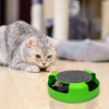 Pasking Interactive Cat Toy, Catch The Mouse Cat Toy with a Running Mouse and a Scratching Pad, Cat Scratcher Catnip Toy, Quality Kitten Toys, Green