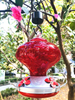 REZIPO Hummingbird Feeder with Perch - Hand Blown Glass - Red - 22 Fluid Ounces Hummingbird Nectar Capacity Include Hanging Wires