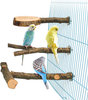 Roundler 3 Pack Apple Wood Bird Perch for Cage, Natural Wooden Parrot Perch Stand Platform Exercise Climbing Paw Grinding Toy Playground Accessories for Parakeet, Conure, Cockatiel, Budgie, Lovebirds