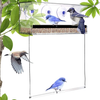 Sparkfire Window Bird Feeder Acrylic Clear Window Bird Feeder with Strong Suction Cups and Sliding Seed Tray, Hanging Birdhouse Kits for Up-Close, Indoor Bird Watching