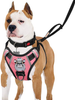 TIANYAO Dog Harness No-Pull Dog Vest Set Reflective Adjustable Oxford Material Pet Harness for Medium Large Dogs with Leash and Collar (Large(Chest:25-35"), Black)