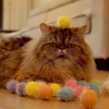 Rimobul 20PCS 1.5INCH New Generation Extra Large Cat's Favorite Chase Glitter Ball Toy Sparkle Pom Pom Balls