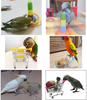 3PCS Parrot Toys Mini Shopping Cart Training Rings Skateboard Stand Perch for Budgie Parakeet Cockatiel Conure Lovebird