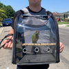 Bird Parrot Backpack Carrier Travel Bag with Perch Stand for Parakeets Cockatiels Conures Finches Lovebirds Small Medium Birds Cage Outside Airlines Airplane Plane Approved Car Lightweight Transparent