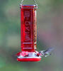 Stokes Select More Birds Hummingbird Feeder, Glass Hummingbird Feeders, Red, 4 Feeding Stations, 19-Ounce Nectar Capacity, Square Bottle, Pack of 1 - 38261