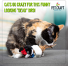 Pet Craft Supply Co. Kitty Condor Crazy Catnip Cuddler Funny Cuddling Chasing Hunting Irresistible Stimulating Soft Plush Boredom