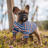 MIGOHI Dog Striped Shirt Cotton Puppy T-Shirt Lightweight Pet PJS Clothes Soft Apparel for Small Medium Doggy, Blue XL