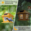 B&P Solar Bird Feeders for Outdoors Hanging Outdoor, Metal Wild Bird Feeders Tray with Waterproof Solar Powered LED Light - Garden, Patio, and Yard Decoration for Bird Lovers - Feed Cardinals, Finches