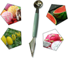 2 Pack Melon Ballers Scoop Double-headed Stainless Steel Fruit Carving Knife Kitchen Tool for Making Melon Ball and Fruit Carving or ice Cream Scooper