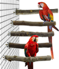 Storystore Bird Perches Natural Wood Parrot Perch for Parakeet Cage Accessories Parakeet Toys for Parrots, Parakeets Cockatiels, Conures, Macaws, Love Birds, Finches