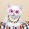 7 Piece Cool Cat Dog Costume Set Include Adjustable Gold Pet Dog Chain and Funny Cute Cat Small Dog Sunglasses Retro Pet Sunglasses for Cat Puppy Small Medium Dog (Vivid Colors)