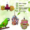 Rypet Bird Shredder Toys - Parrot Foraging Hanging Toy for Cockatiel Conure African Grey Amazon (3 Pack)