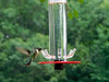 Peter's Hummingbird Feeder, Transparent Bird Feeders Unique Design Feeding System with Bright Red Transparent Poly-Carbonate Tube, Outdoor Decor, Suit for Outdoors Hanging, Deck, Patio, Garden