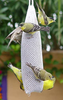 Premium Bird Feed Nyjer Thistle Sock Finch Feeder
