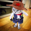 meihejia Funny Cowboy Jacket Suit - Super Cute Costumes for Small Dogs & Cats