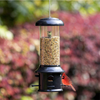 Nature's Rhythm Squirrel Proof Bird Feeder of Weather Guard 4 Classic Ports,1.5lb Seed Capacity,Wild Bird Feeder Hanging for Garden Yard Outside （Black）