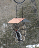 Songbird Essentials Suet & Seed Ball Feeder Copper Roof SE909