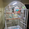 M&M Cage Company - Bird Cage Light with Chew Guard for Hook Bill Birds & Soft Bill Birds - Full Spectrum LED Pet Light - Simulates Natural Environment