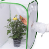 RESTCLOUD Insect and Butterfly Habitat Cage Terrarium Pop-up 24 Inches Tall with Sleeve (A-15.7 x 15.7 x 24 inches)