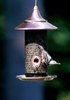 Stokes Select Provincial Screen Bird Feeder with Brushed Copper Metal Accents, 2.0 lb Seed Capacity