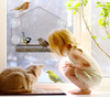 Window Bird Feeder - Large Bird House for Outside. Removable Sliding Tray with Drain Holes. Best for Wild Birds. Clear Acrylic. Easy to Clean. Great Gift. for All Weather