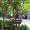 12 Inch Hanging Bird Bath, Bird Feeder Bird Drinking with Hook and Chain for Outdoor Garden Yard Patio