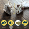 Our Pets Play-N-SqueakCat Toy, 2pc (Interactive Cat Toy, Catnip Toy, Catnip Toys for Cats, Real Mouse Electronic Sound, Catnip, Cat Toys)