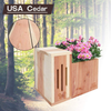Solution4Patio Expert in Garden Creation #G-B309A00-US USA Cedar Butterfly House & Flower Pot 2 in 1 Combination Multifunctinal Design with Drainage Holes, 9.2 in. L x 5.7 in. W x 8.0 in. H