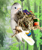 Birds LOVE Seagrass Foraging Pouch Toy w Wood Toys on Natural Rope, Forage Hanging Chewing Fun for Conures Cockatoos Cockatiels Macaw Cockatoo Grey Amazon