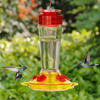 Shrdaepe Hummingbird Feeder, Glass Bottle Bird Feeders, 5 Feeding Ports (Red & Yellow)