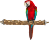 Blue Mars Bird Parrot Perch,Natural Wood Bird Perch Stand for Bird Carrier and Bird Cage with 2 Screw Holder
