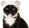 Kitan Club Cat Cap - Pet Hat Blind Box Includes 1 of 6 Cute Styles - Soft, Comfortable - Authentic Japanese Kawaii Design - Animal-Safe Materials, Premium Quality (Bear)
