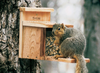 Woodlink Squirrel Munch Box Feeder