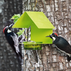 My Eco Glass Mosaic Birds M447-200-L Cottage Bird Feeder Lime