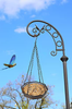 Bird Feeders for Outside,BOVITRO Bird Feeder,Wild Hanging Bird Feeder for Garden Yard Decoration,Platform Octagonal Metal Mesh with Chain Hook - 1 Pack