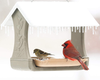 Mr. Canary Bird & Breakfast Bird Feeder, Plus 4 'EveryBirdy Loves It' En-Trays, No-Clean Bird Feeder, Easy