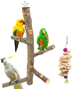 suruikei Bird Perch Nature Apple Hard Wood Stand, Parrot Stand Toy Branch Platform Paw Grinding Stick for Small Parakeets Cockatiels Conures Parrots Love Birds Finches Cage Accessories