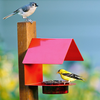 My Eco Glass Mosaic Birds M447-200-R Cottage Bird Feeder Red