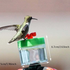 Hummingbird Feeder, Wrist Feeder, Garden Bird Feeder, Feeding Ports, Feeding Stations, Feeding System, Wild Bird Feeder, for Gardening Garden Red Banded Trumpet Flower (B)