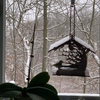 Bird Feeder House for Outside Hanging, Wooden Birdhouse Bluebird House Feeder Handcrafted Hut