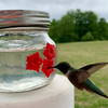 Tuscom Beautiful Hummingbird Feeder with Three Ports, Bird Products Mason Jar Hummingbird Dish Feeder, Clear (Multicolor)