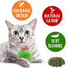CiyvoLyeen 5Pcs Llama Catnip Cat Toys Cactus Cat Chew Interactive Toy for Cat Lover Gift Indoor Cat Kitty Bite Toys Supplies Llama Gifts