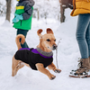Dasior Dog Winter Coat, Warm Fleece Pet Jacket, Windproof Cold Weather Reflective Clothes