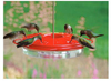 Audubon Hummingbird Feeder (NAH1)12 ounce nectar capacity