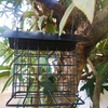 Petyoung Hanging Wild Bird Feeder with Metal Roof Suet Bird Feeder for Garden Backyard Outside Decoration