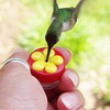 U-pick Hanging Hummingbird Feeders for Outdoors, Red Hand-held Hummingbird Feeder with Clean Brushes (Metal, Gold, Hummingbird)